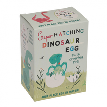 Load image into Gallery viewer, Dinosaur Hatching Egg