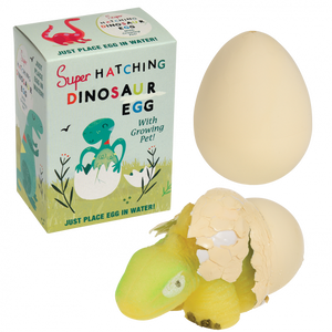 Dinosaur Hatching Egg