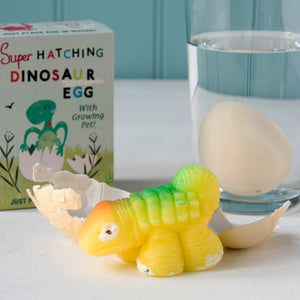 Dinosaur Hatching Egg