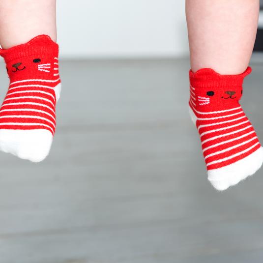 Box Of 4 Kitten Baby Socks