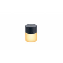 Load image into Gallery viewer, Mini Lemelia Light: Black