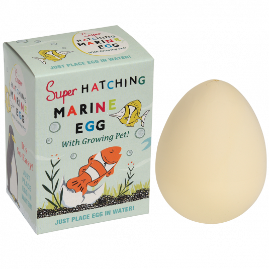 Hatching Marine Animal Egg