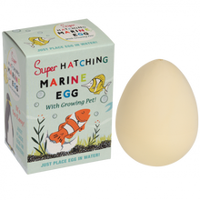 Load image into Gallery viewer, Hatching Marine Animal Egg