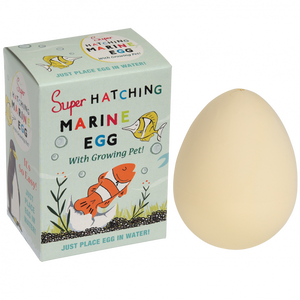 Hatching Marine Animal Egg