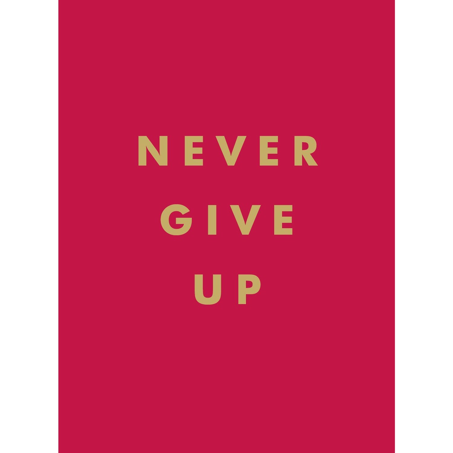 Never Give Up