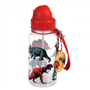Prehistoric Land Dinosaur Water Bottle