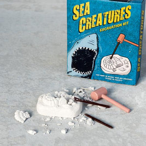 Sea Creatures Excavation Kit
