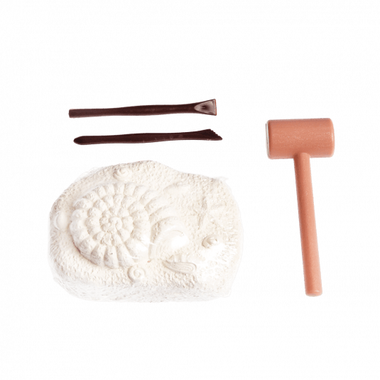 Sea Creatures Excavation Kit