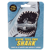 Load image into Gallery viewer, Grow Your Own Shark