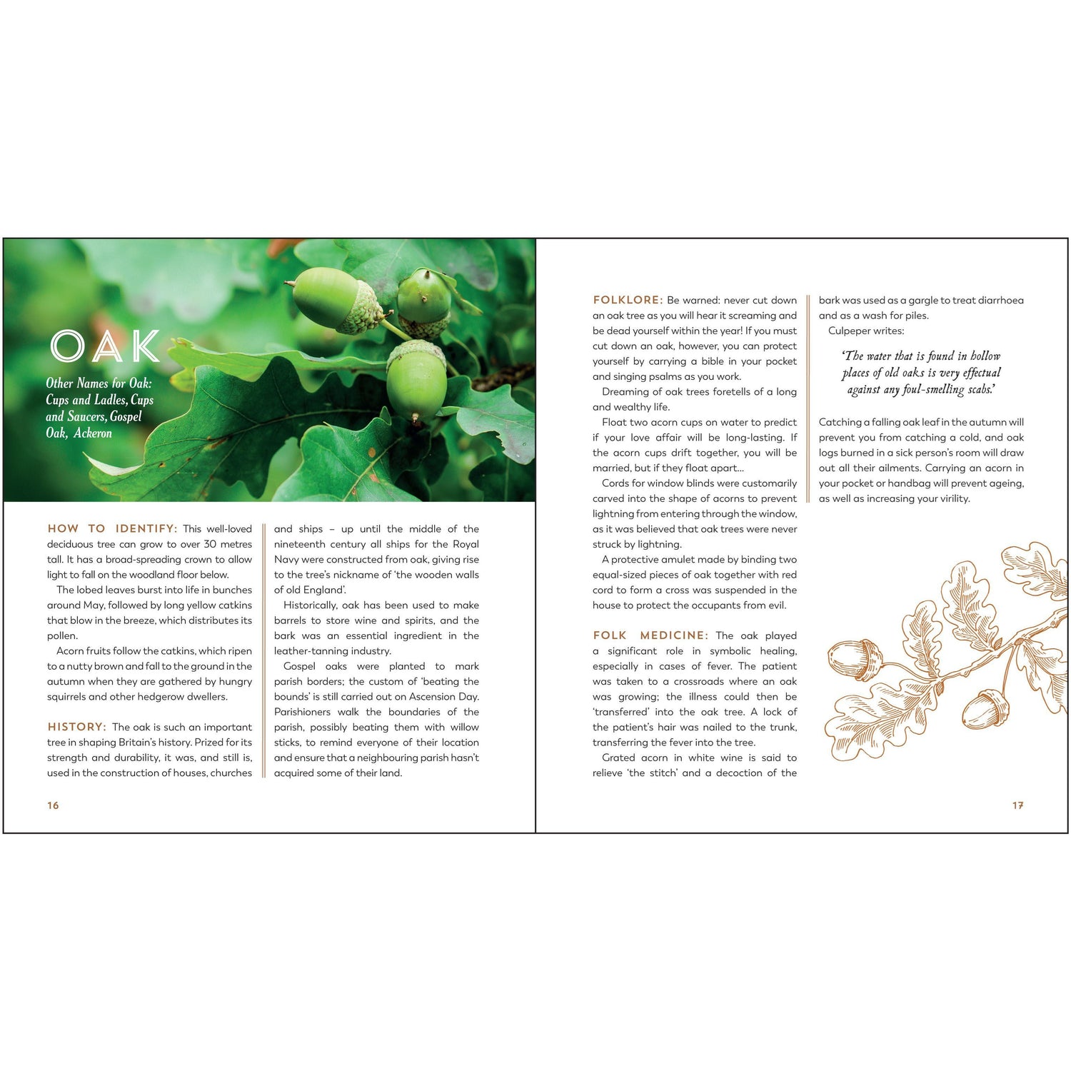 The Hedgerow Apothecary