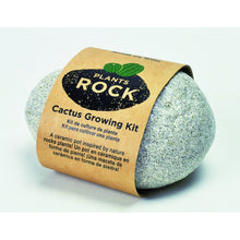 Load image into Gallery viewer, Grow Your Own Cactus-Light Grey Rock